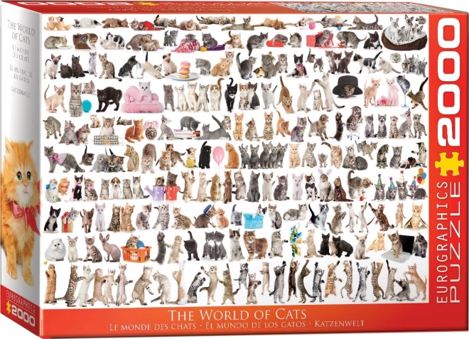 Eurographics Puzzle Welt der Katzen