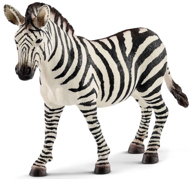 Zebrafigur Weiblich - Wild Life Serie