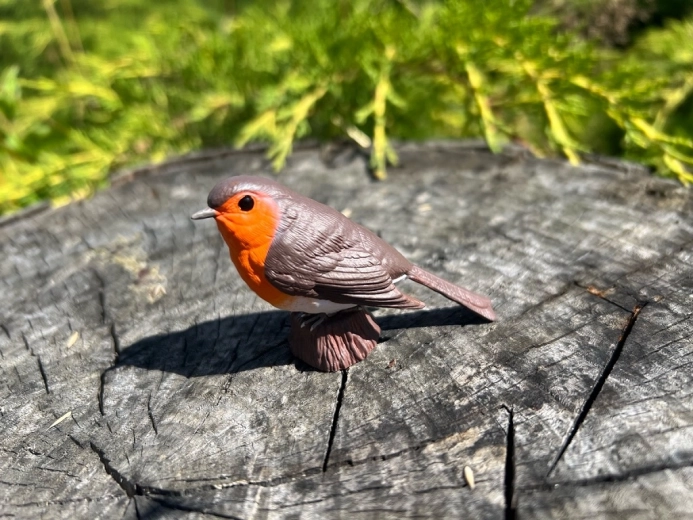 Dekoration und Lernhilfe