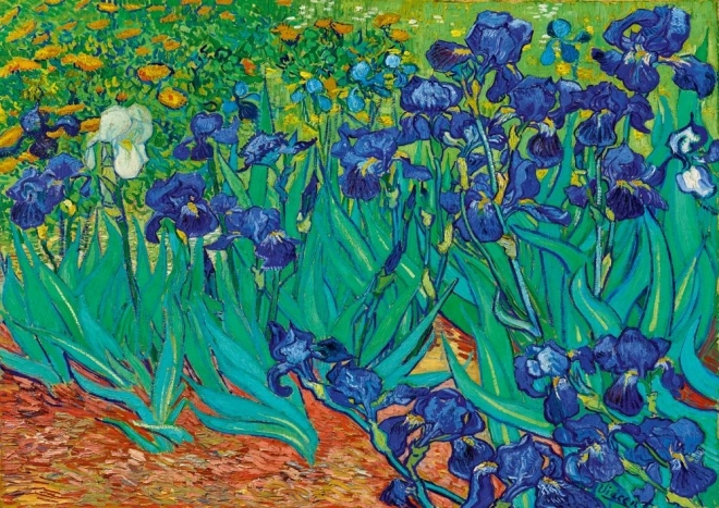 Bluebird Puzzle Iris 1000 Teile
