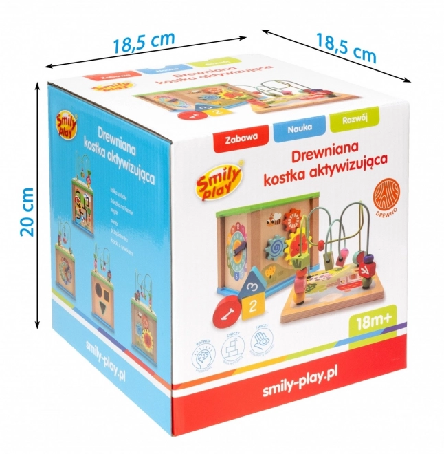 Holz Aktivitätswürfel 5 in 1