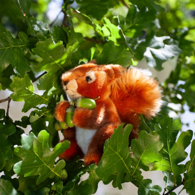 Sitzendes Plüscheichhörnchen 18 cm umweltfreundlich
