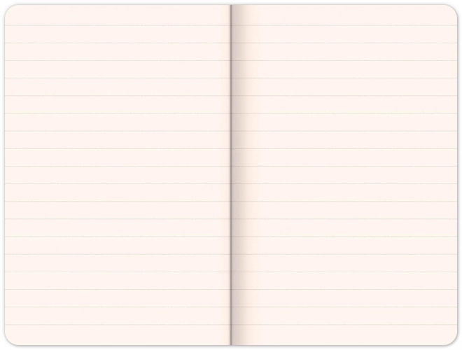 Luxus Notizbuch Skiver Rot Linierte 13 x 21 cm