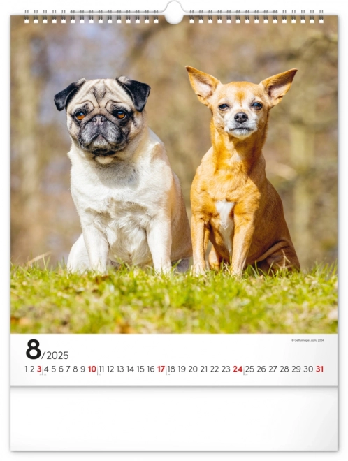 Notique Wandkalender Hunde 2025