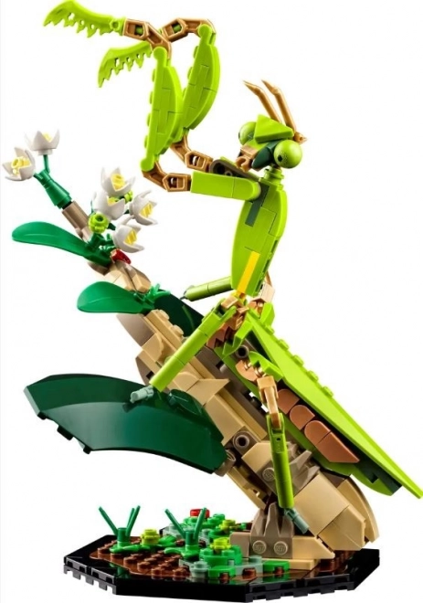 Lego Ideas Insektensammlung