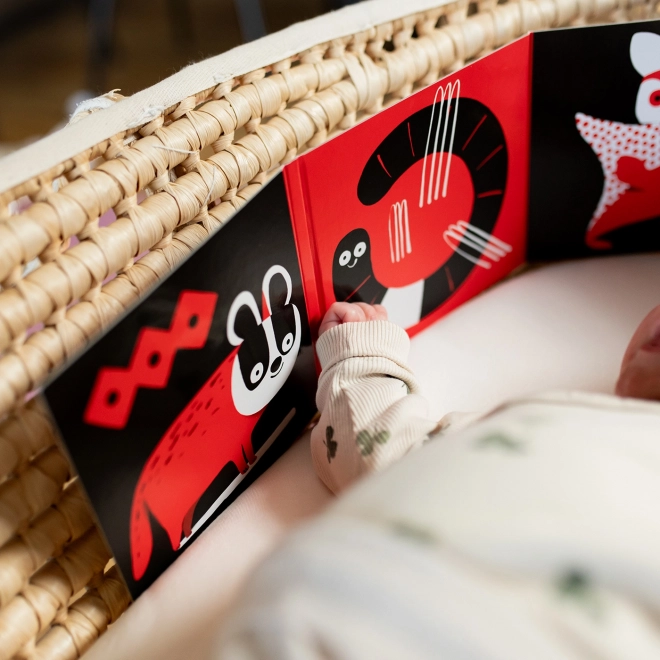 Ababu Kontrast-Bilderbuch für Babys mit Illustrationen von Patrik Antczak