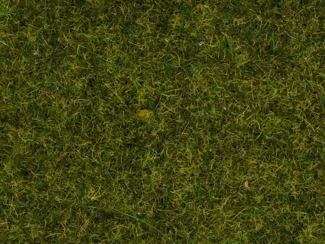 Modellierte statische Grasmatte für realistische Wiesen