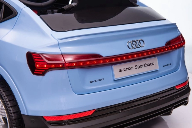 Audi E-Tron Autobatterie Blau QLS-6688