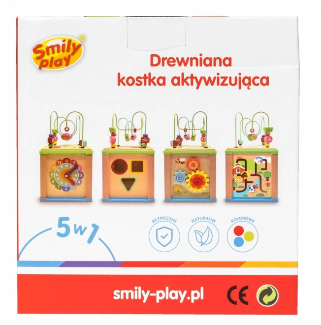 Holz Aktivitätswürfel 5 in 1