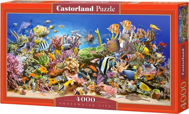 Castorland Puzzle Unterwasserleben 4000 Teile