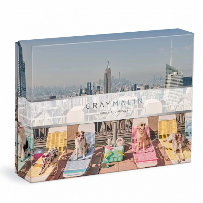 Galison Puzzle Gray Malin: New York 1000 Teile