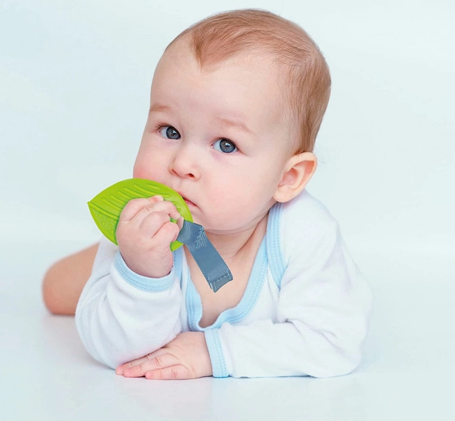 Baby Clementoni Entdeckermatte mit Spielbogen