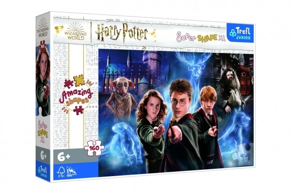 Harry Potter: Magische Welt Puzzle XL