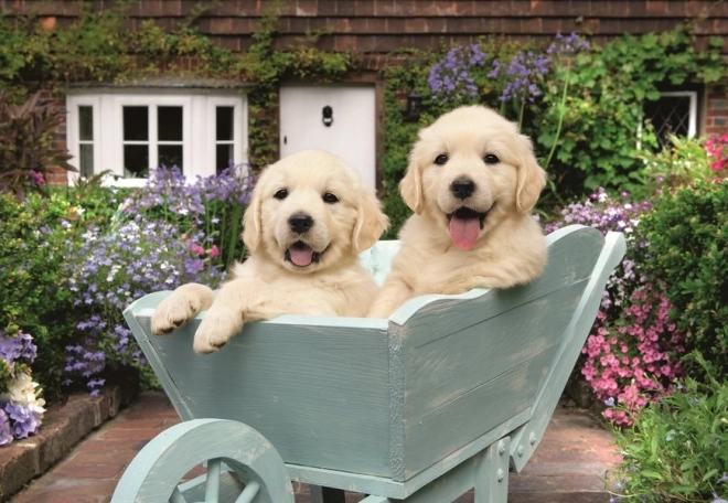 Ravensburger Puzzle Goldene Retriever