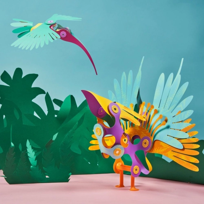 Magnetische Bausätze Clixo tropische Vögel aus dem Regenwald