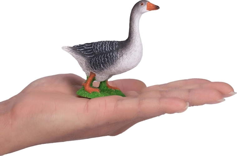 Ideale Größe für Spiel und Sammlung