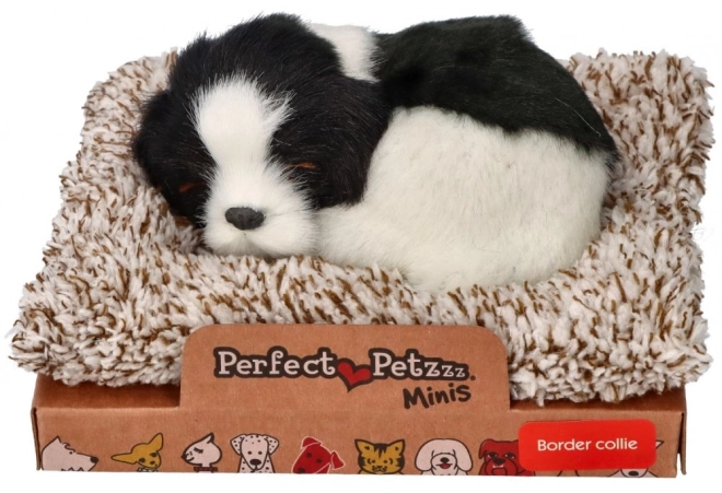 Schlafender Border Collie auf dem Hundebett