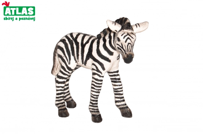 Zebra Fohlen Figur