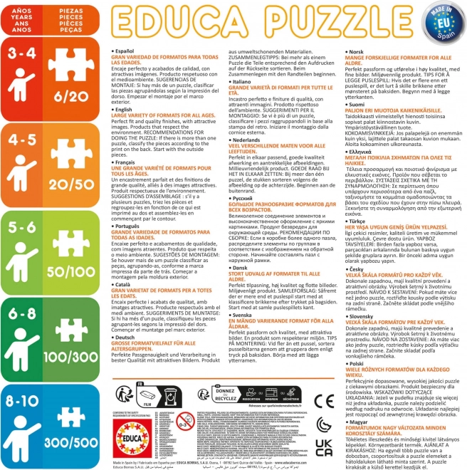 Educa Puzzle Tourenschiff - Außen und Innen 2x100 Teile