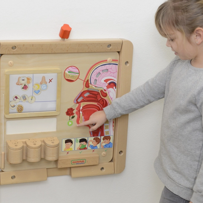 Montessori-Duftsinn Lernbrett von Masterkidz