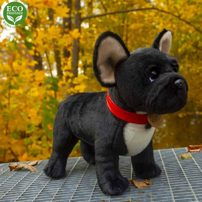 Plüsch-Französische Bulldogge Schwarz mit Halsband Stehend 30 cm Umweltfreundlich