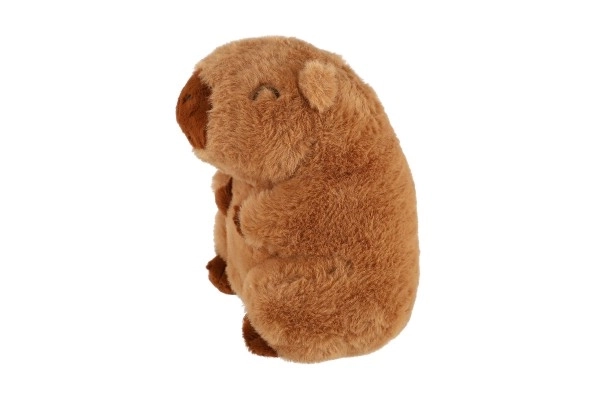 Plüsch-Kapybara 22 cm