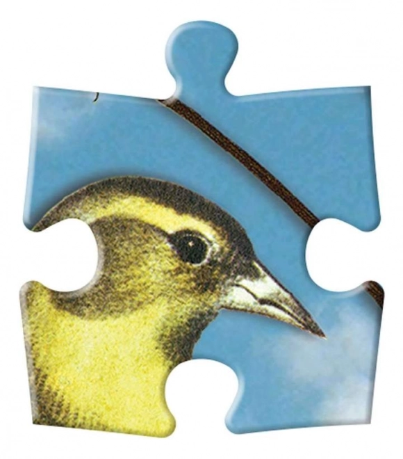 Doppelseitiges Puzzle Vogel-Sinfonie 250 Teile