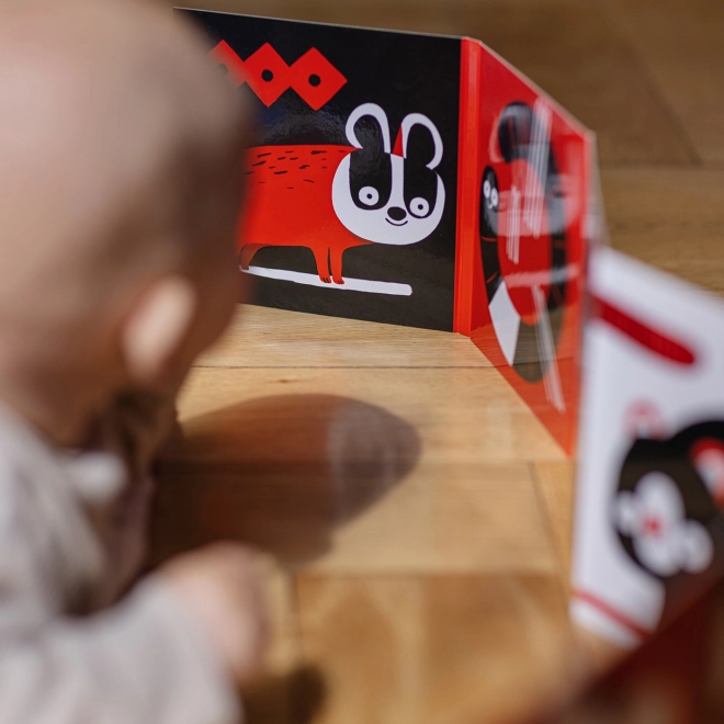 Ababu Kontrast-Bilderbuch für Babys mit Illustrationen von Patrik Antczak