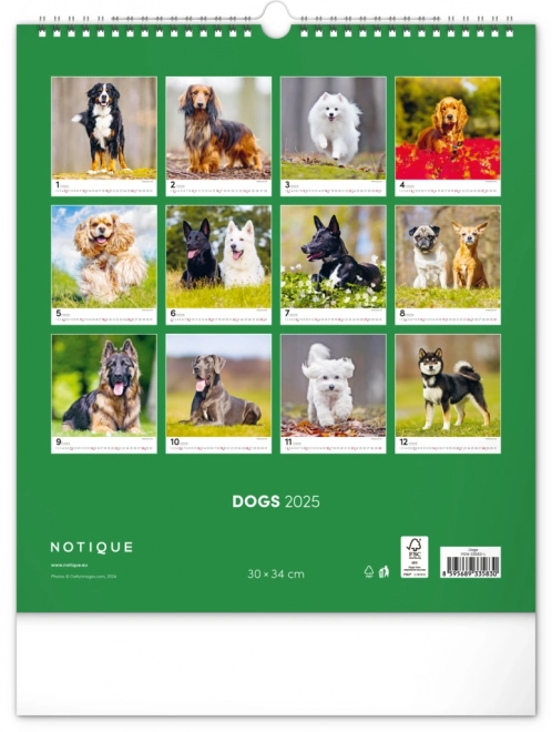 Notique Wandkalender Hunde 2025