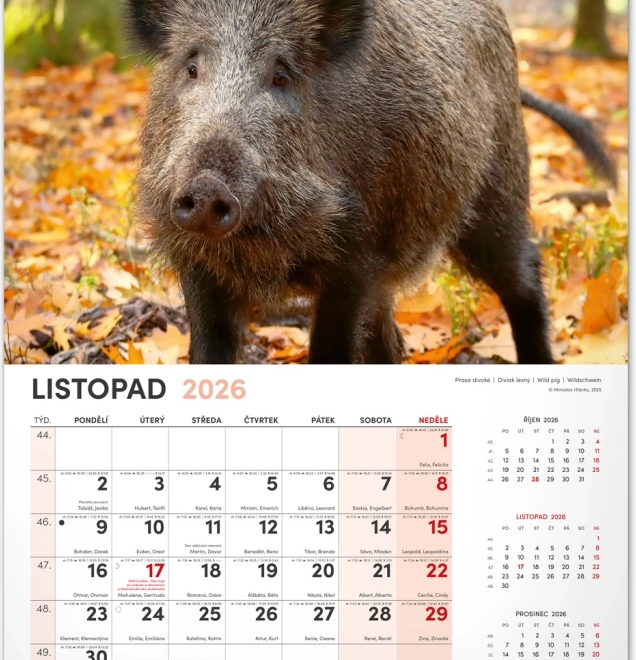 Jagd-Wandkalender 2026