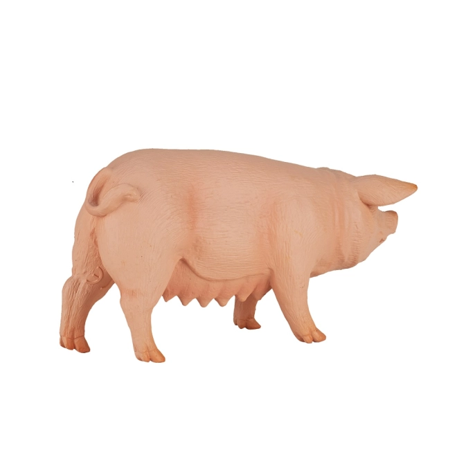 Ideal ffcr Bildungszwecke
