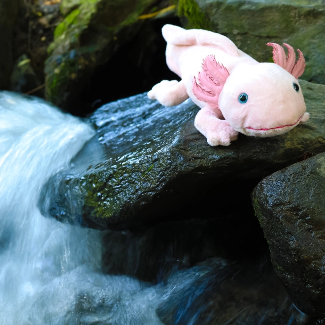 Öko-freundlicher Plüsch-Axolotl 33 cm