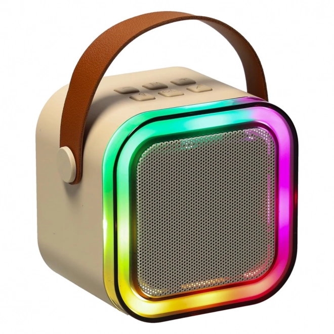 Karaoke-Set mit 2 Mikrofonen und Bluetooth-LED-Lautsprecher