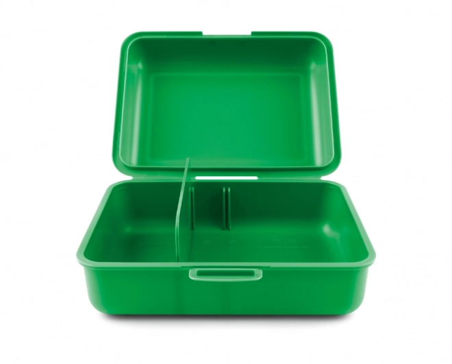 Süße Dino Lunchbox