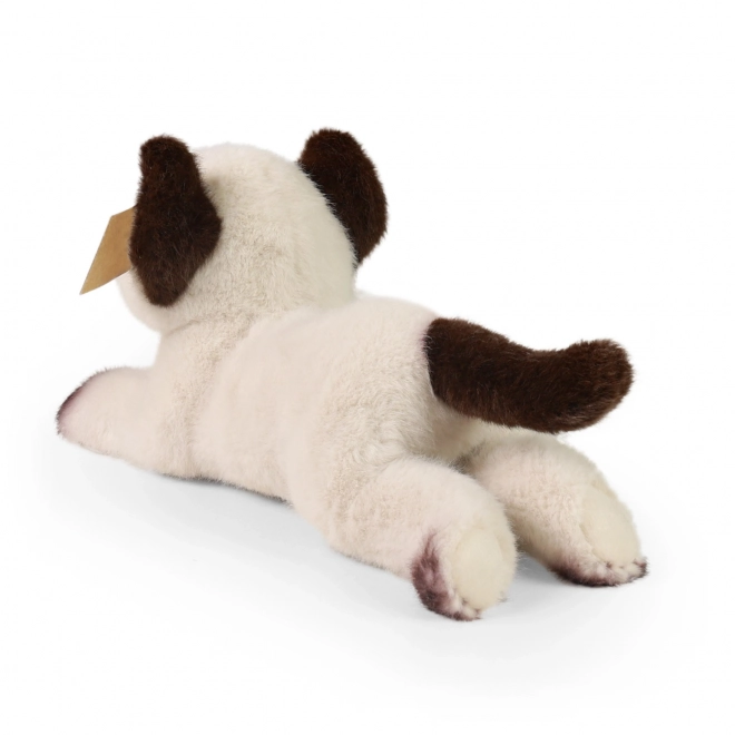 Plüschkatze Himalaya 20 cm umweltfreundlich