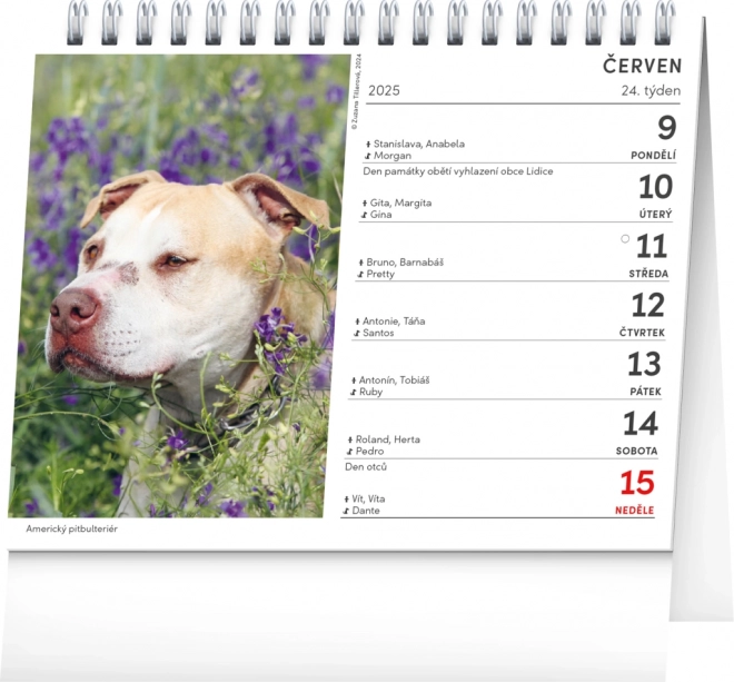 Tischkalender Hunde 2025 mit Hundenamen