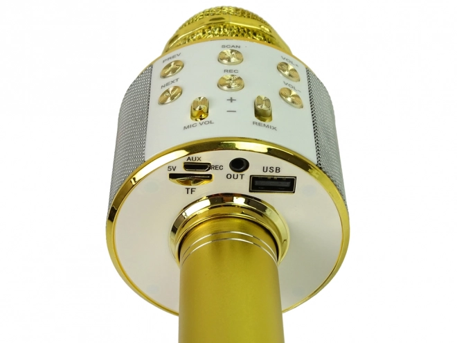 Karaoke Mikrofon Bluetooth USB Lautsprecher Goldener Mikrofon