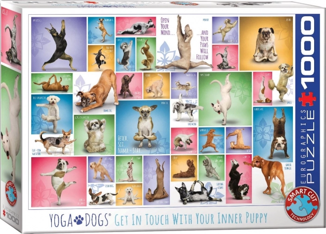 Eurographics Puzzle Hunde-Yoga 1000 Teile