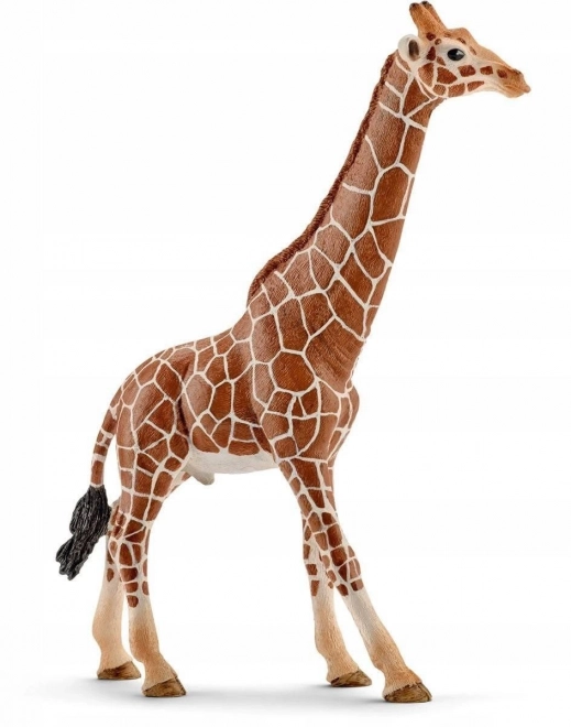 Schleich Wilde Tiere Giraffenmännchen Figur