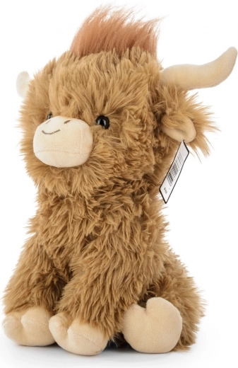 Authentisches Aussehen der Highland-Kuh