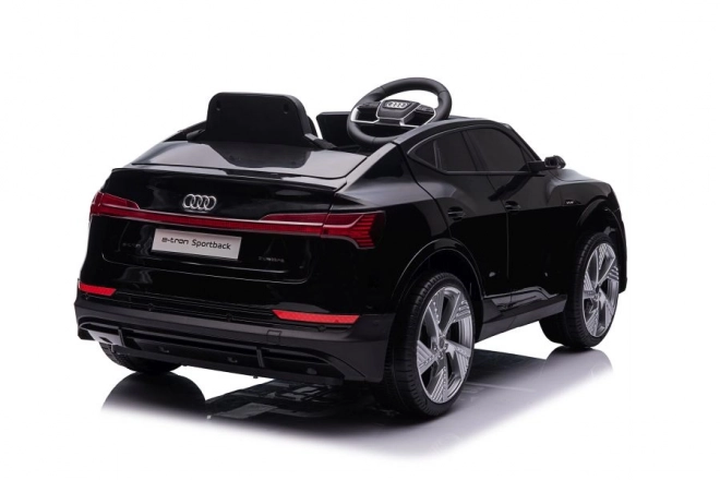 Audi E-Tron Autobatterie Schwarz QLS-6688