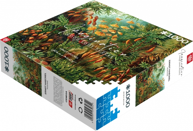 Good Loot Puzzle Imagination: Ernst Haeckel - Muscinae 1000 Teile