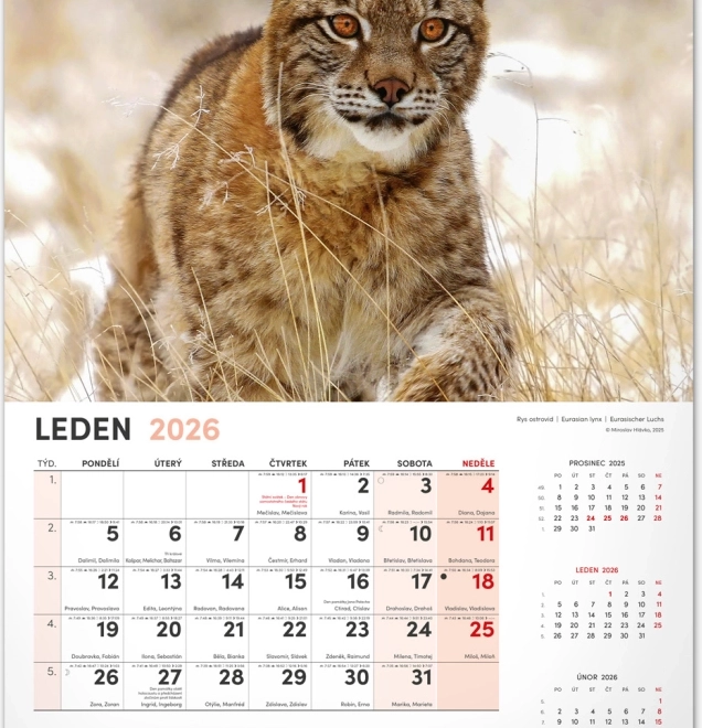 Jagd-Wandkalender 2026