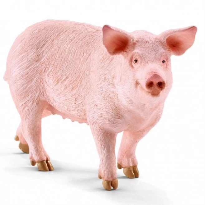 Schwein Figur von Schleich