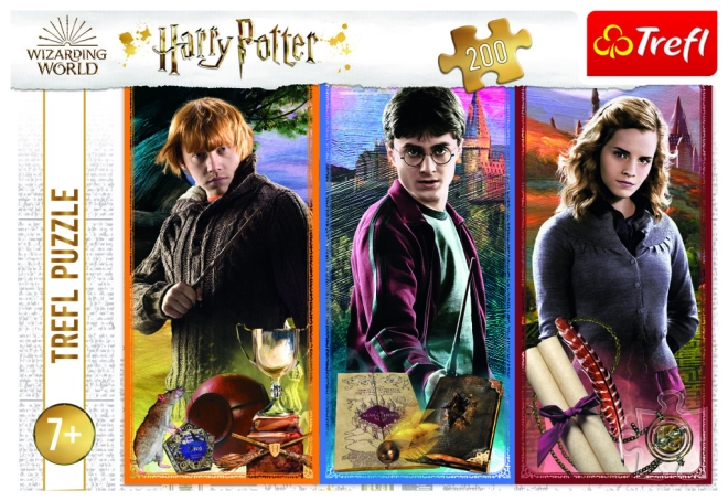 Offizielles HARRY POTTER Motiv von Trefl