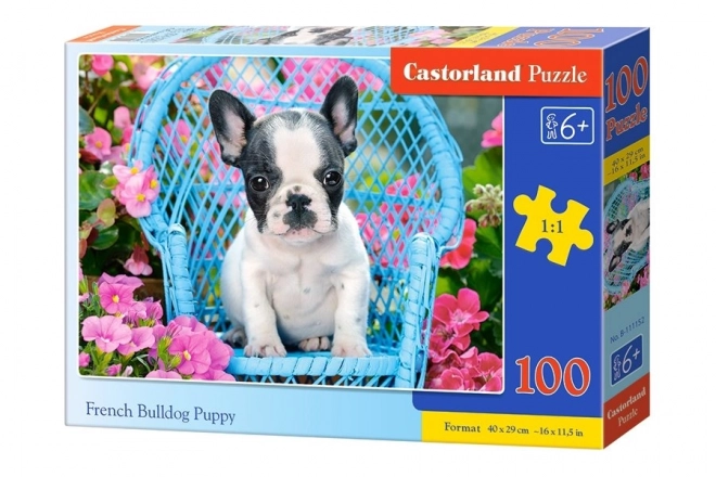 Puzzle 100 Teile Französische Bulldogge Welpe