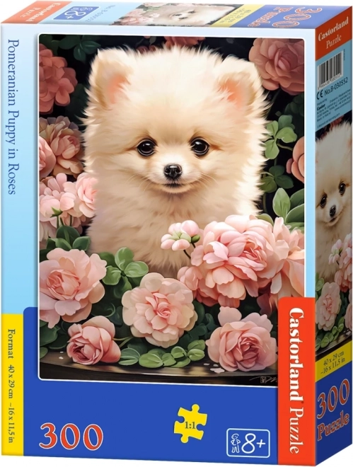 Castorland Puzzle Pomeranian Welpe in Rosen 60 Teile