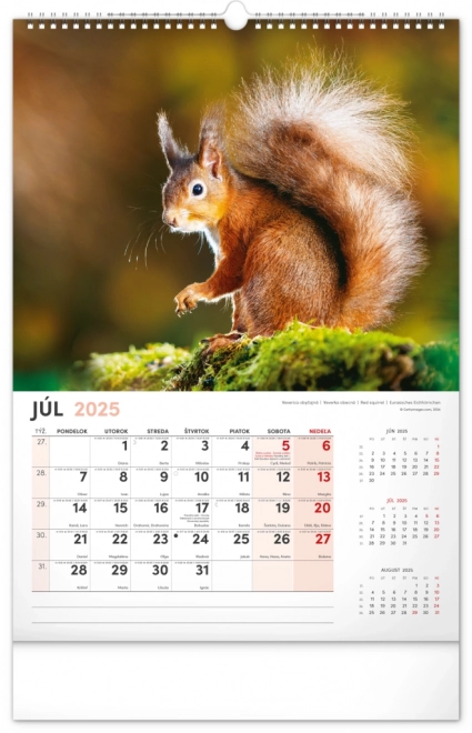 Notique Jagdkalender 2025