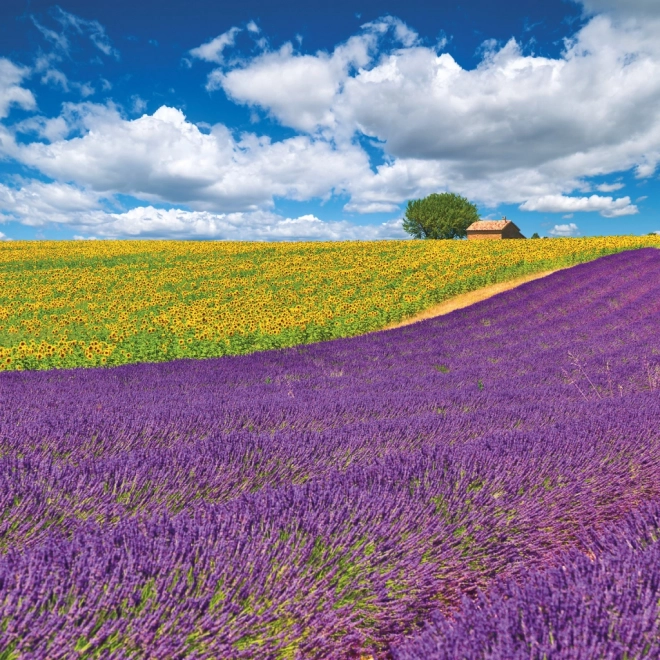 Notizkalender Provence 2026