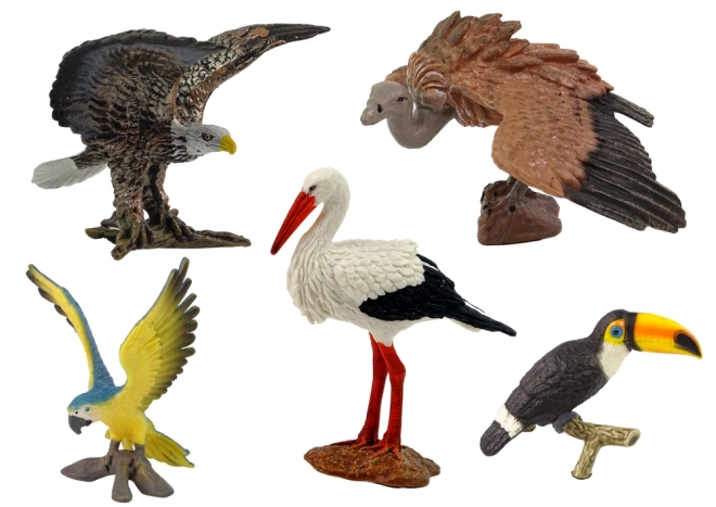 Set von Figuren Vögel der Welt 5-teilig